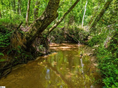 0 New Circle Rd, Travelers Rest, SC 29690 - photo 5