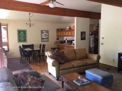 16 E Lupine Dr, Aspen, CO 81611 - photo 3