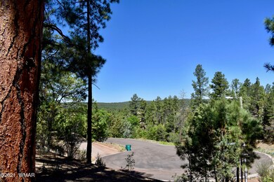 4601 S Manzanita Way, Show Low, AZ 85901 - photo 5