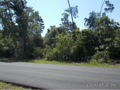 0 SW 161 Loop unit MFROM407947, Ocala, FL 34473 - photo 3