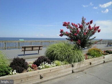 4013 10th St, North Beach, MD 20714 - photo 2