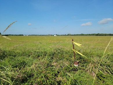 0 Cole Rd unit 776126, Bay City, TX 77414 - photo 6