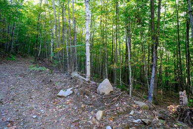 478 E Lake Rd, Ludlow, VT 05149 - photo 4