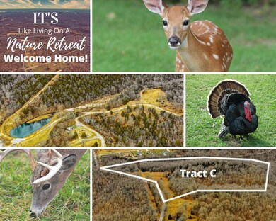 Table Rock Lake Acreage