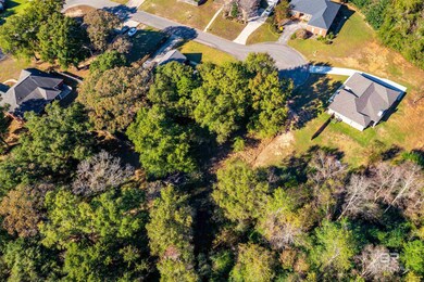 0 Buck Ct unit 18, Semmes, AL 36575 - photo 6