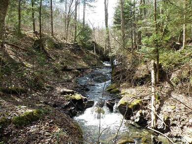 0 Route 2 Route unit 4911667, St. Johnsbury, VT 05819 - photo 7