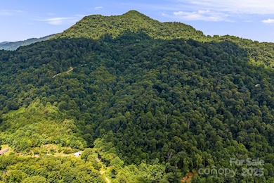 Overlooking Newfound Mtn range