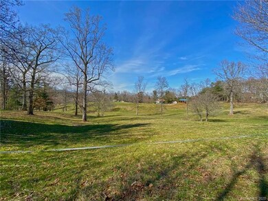 160 Dix Creek Chapel Rd, Asheville, NC 28806 - photo 4