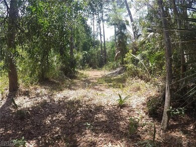 5700 Cedar Tree Ln, Naples, FL 34116 - photo 5