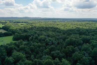 0 John Lunn Rd, Lewisburg, TN 37091 - photo 6