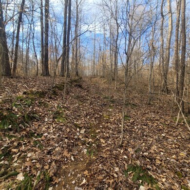 0 Mathis Cemetery Rd unit RTC2489831, Stewart, TN 37175 - photo 3