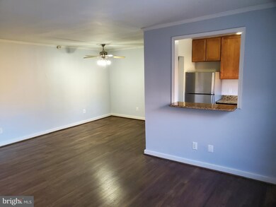 The Sherwood Apartments, Takoma Park, MD 20912 - photo 6