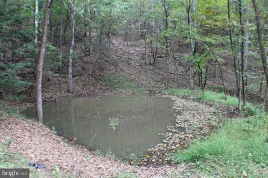 17 ACS Waterash Rd, Dorcas, WV 26847 - photo 2