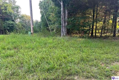 539 Strawberry Hill Dr, Doe Valley, KY 40108 - photo 6