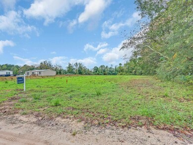 TBD Willow Grove Dr unit Lot 9, Loris, SC 29569 - photo 5