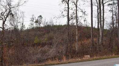 0 Renfroe Rd unit 21407810, Talladega, AL 35160 - photo 5