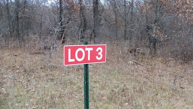Lot 3 300th St, Sterling Township, WI 54024 - photo 2