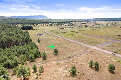 DJI_0011-Edit