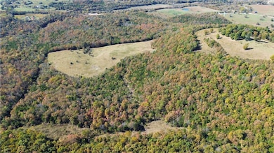 160 Acres Rushing Ridge Rd, Harrison, AR 72601 - photo 4