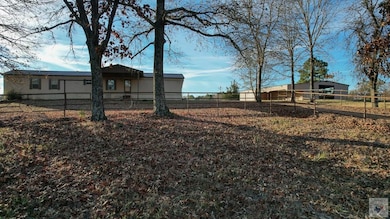 1009 County Road 4347, Bivins, TX 75555 - photo 2
