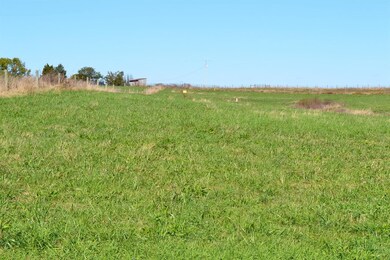 679 Cole Ln, Harrodsburg, KY 40330 - photo 4