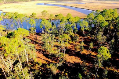 340 Jay Way, Carrabelle, FL 32322 - photo 7