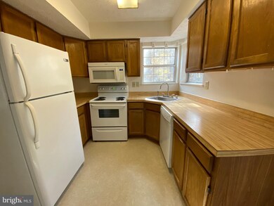 6507 Alopex Ct, Waldorf, MD 20603 - photo 5