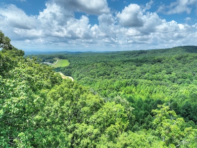 LOT 20 Locust Ln, Morganton, GA 30560 - photo 5