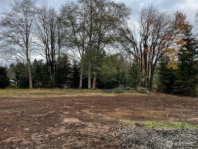 30 Porter Creek Rd, Elma, WA 98541 - photo 4