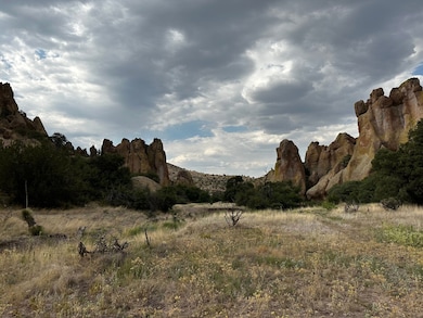 0 Xx C Bar Ranch Rd unit 17145279, Silver City, NM 88061 - photo 5