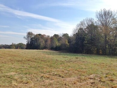 3770 Pollard Rd, Walling, TN 38587 - photo 3