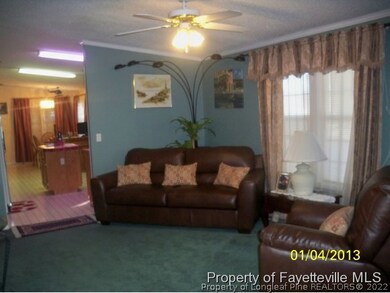 41 Dixie Trail Rd, Lumber Bridge, NC 28357 - photo 2