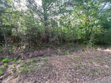 0 Hobby Horse Rd unit 167582, Vance, AL 35490 - photo 4