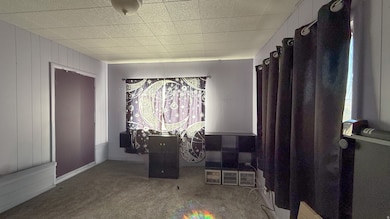 Dining room featuring carpet floors and healthy amount of natural light
