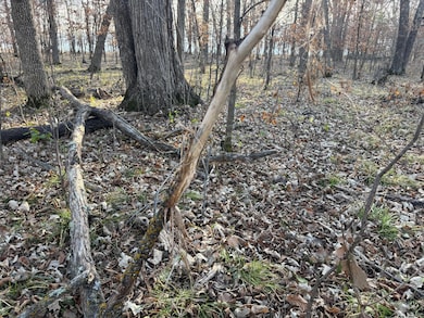 TBD 294th, Meadow Township, MN 56477 - photo 7