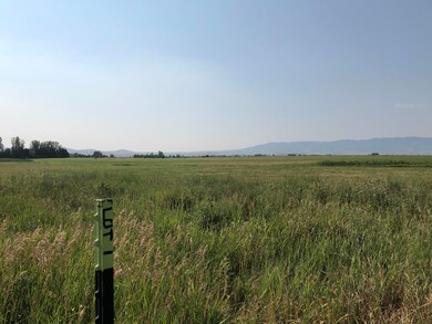 View 14