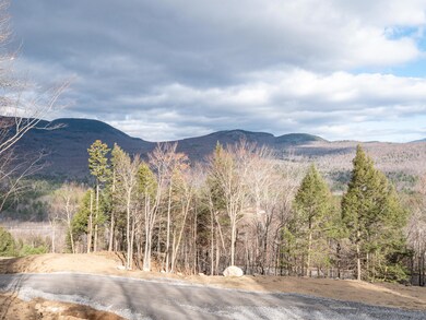 Monkey Brook Lot-20
