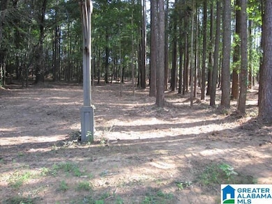 390 Jamestown Way, Anniston, AL 36207 - photo 2