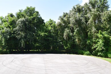 0 Colony unit 35802156, Angleton, TX 77515 - photo 4