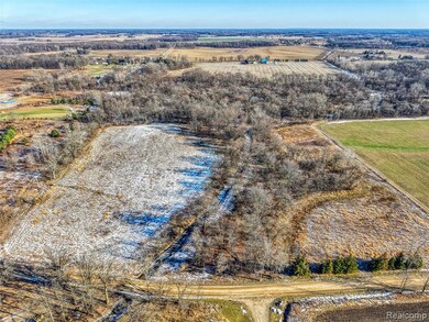 10525 Godfrey Rd, Bancroft, MI 48414 - photo 7