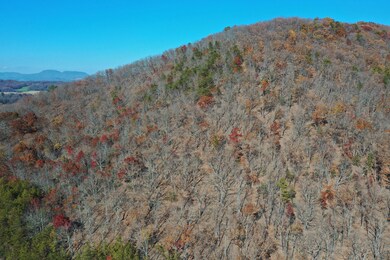 DJI_0936