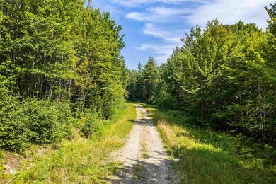 06 Turtle Hill Rd unit 6, Ludlow, VT 05149 - photo 3