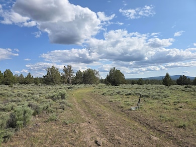 0 Fishhole Creek Rd unit 220200007, Bly, OR 97622 - photo 3