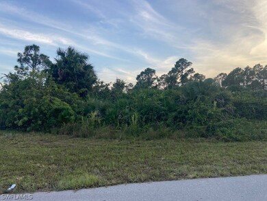 6021 Ruth Ave N, Lehigh Acres, FL 33971 - photo 2