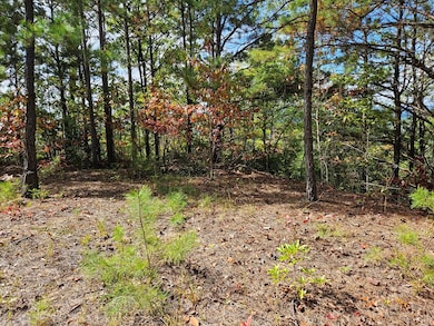 288 Deer Path Trail, Franklin, NC 28734 - photo 2