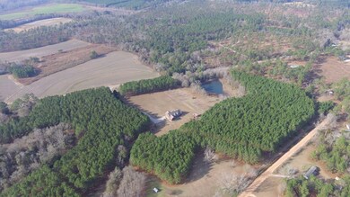 Ariel View