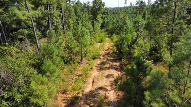 0 Mcdaniel Rd, Ethel, MS 39067 - photo 7