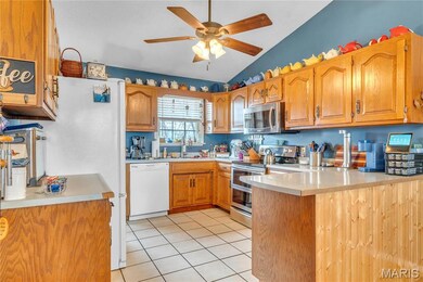 31098 State Highway 51, Marble Hill, MO 63764 - photo 6