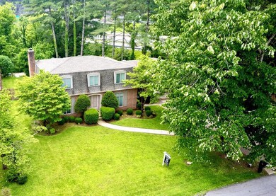 245 E Cedar Dr, Hatfield, KY 41514 - photo 2
