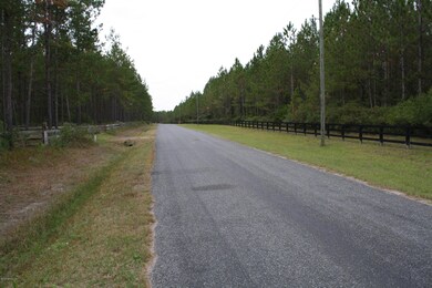 000 Sawtooth Ridge, Callahan, FL 32011 - photo 6